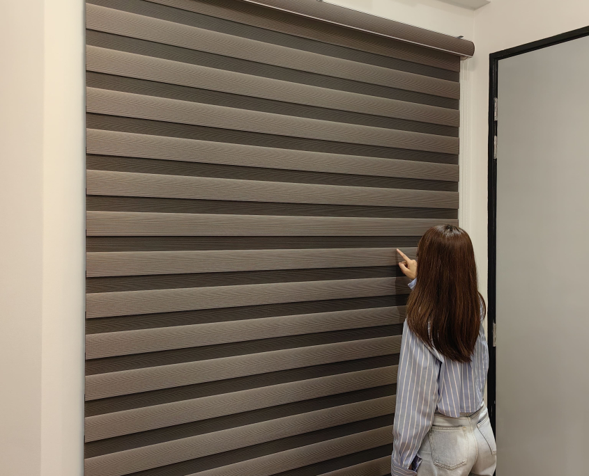 blinds zebra lumanest 33 1 scaled
