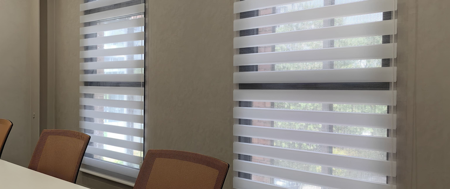 blinds zebra lumanest 41 1 scaled